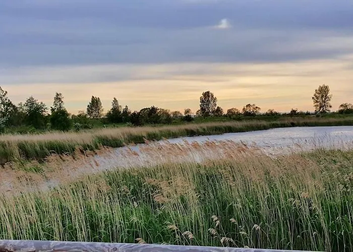 Comfortable With A Large Garden *